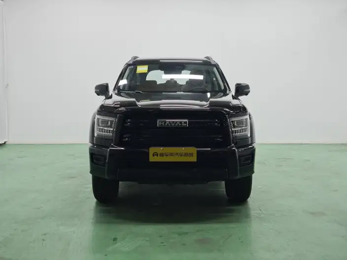 Haval H5 2025 Model 2.0T Petrol Pilot Automatic 4WD – фото 2