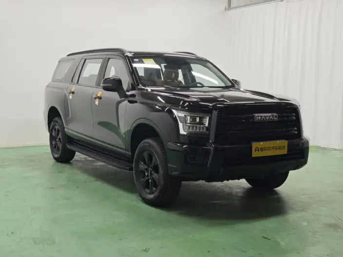 Haval H5 2025 Model 2.0T Petrol Pilot Automatic 4WD – фото 3