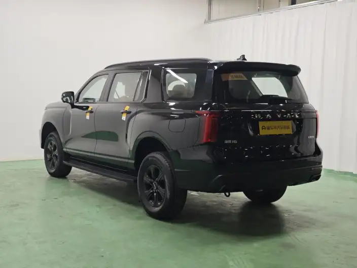 Haval H5 2025 Model 2.0T Petrol Pilot Automatic 4WD – фото 5