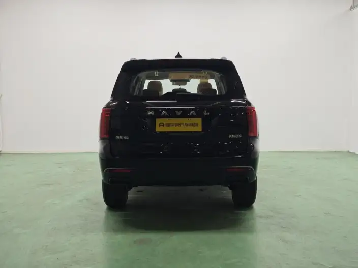 Haval H5 2025 Model 2.0T Petrol Pilot Automatic 4WD – фото 6