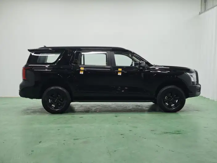 Haval H5 2025 Model 2.0T Petrol Pilot Automatic 4WD – фото 8