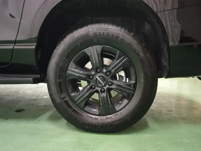 Haval H5 2025 Model 2.0T Petrol Pilot Automatic 4WD – фото 9