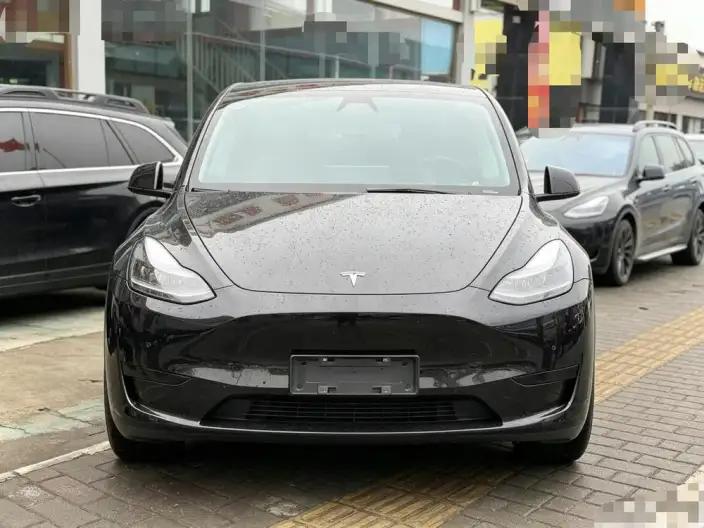 Model Y 2022 Model Facelift Rear-wheel drive version – фото 2