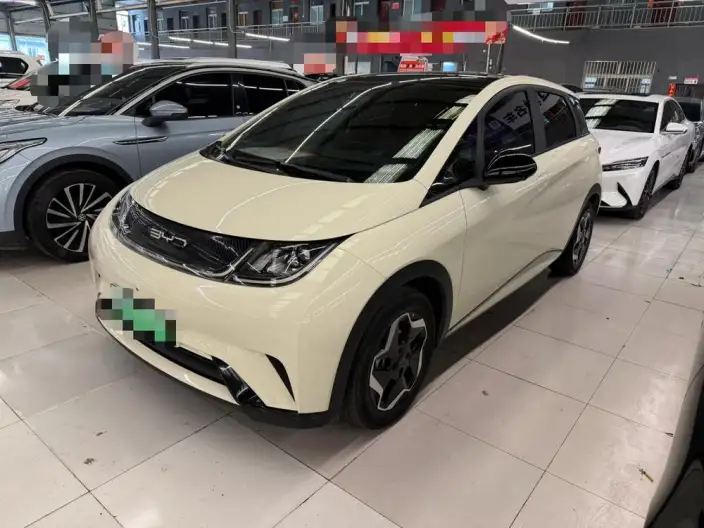 BYD Dolphin 2023 Model Fashion Edition – фото 1