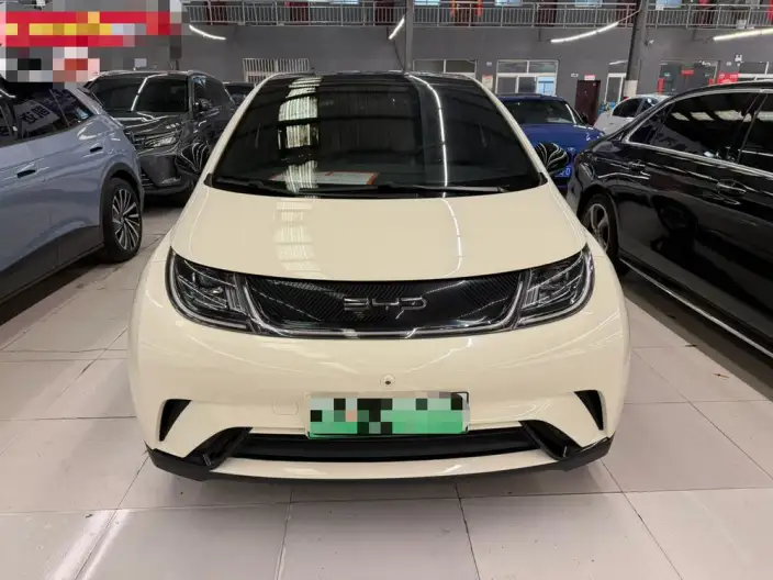 BYD Dolphin 2023 Model Fashion Edition – фото 2