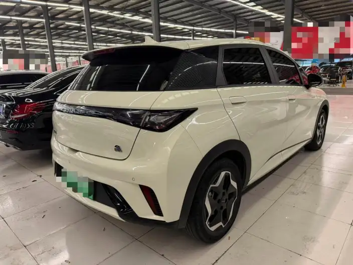 BYD Dolphin 2023 Model Fashion Edition – фото 6