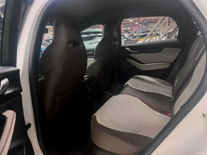 BYD Qin PLUS DM 2024 Model Honor Edition DM-i 55KM Leading Model – фото 9