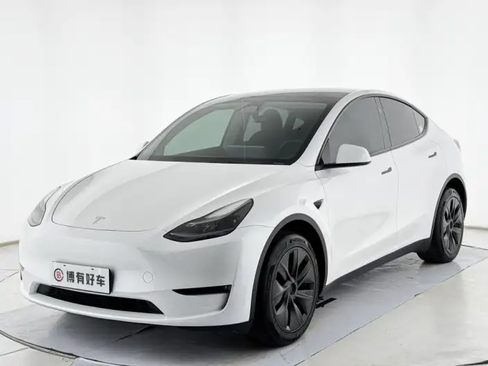 Model Y 2024 Model Long Battery Life Pro All-wheel drive version – фото 1