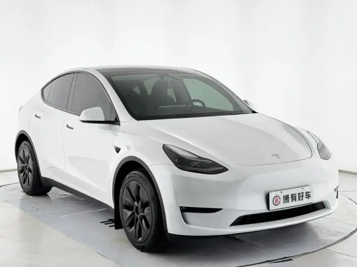 Model Y 2024 Model Long Battery Life Pro All-wheel drive version – фото 3