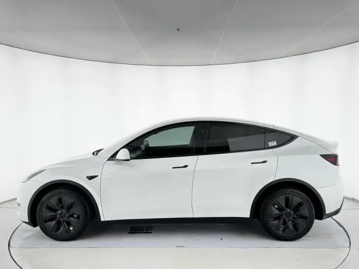 Model Y 2024 Model Long Battery Life Pro All-wheel drive version – фото 4