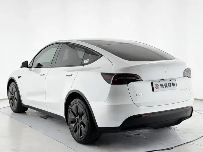 Model Y 2024 Model Long Battery Life Pro All-wheel drive version – фото 5