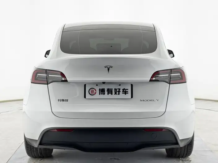 Model Y 2024 Model Long Battery Life Pro All-wheel drive version – фото 6