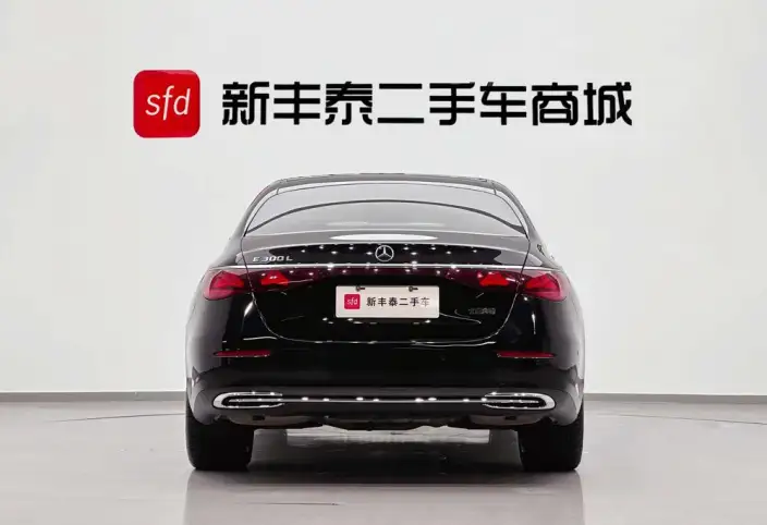 Mercedes-Benz E-Class 2025 Model Facelift E 300 L Luxury Model sedan – фото 5