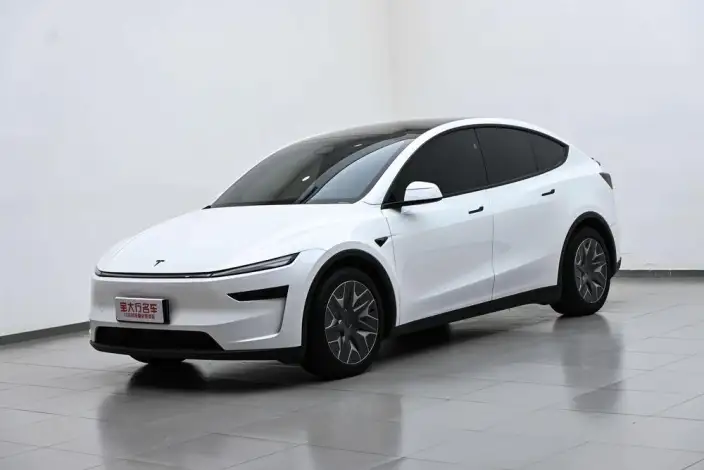 Model Y 2025 Model Long Battery Life Pro All-wheel drive version – фото 1