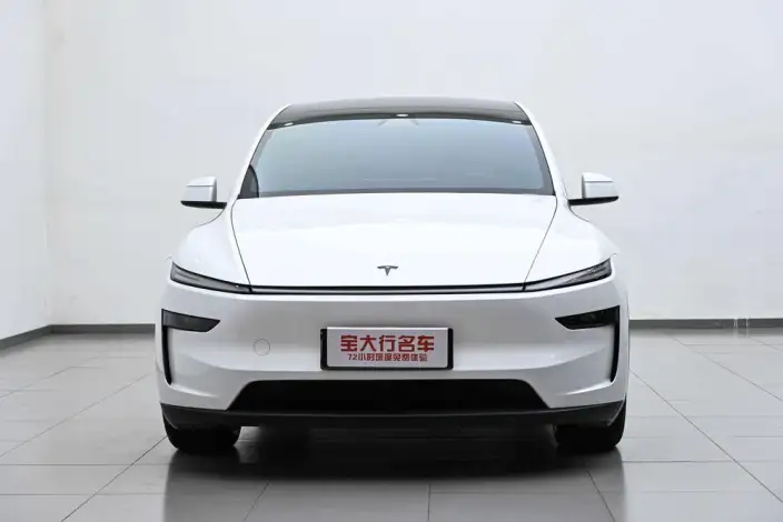 Model Y 2025 Model Long Battery Life Pro All-wheel drive version – фото 2