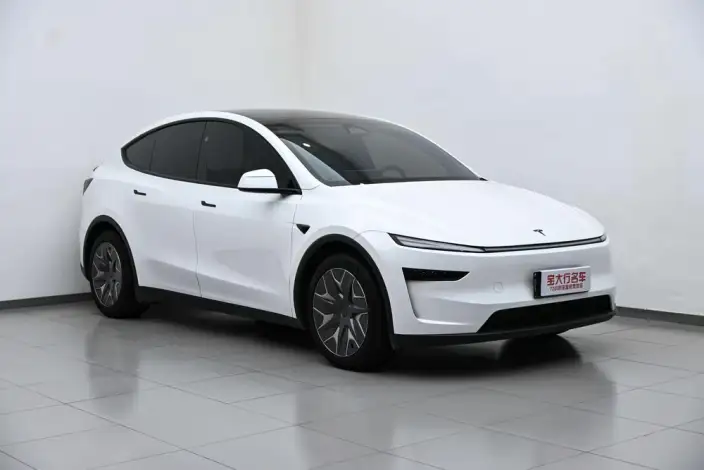 Model Y 2025 Model Long Battery Life Pro All-wheel drive version – фото 3