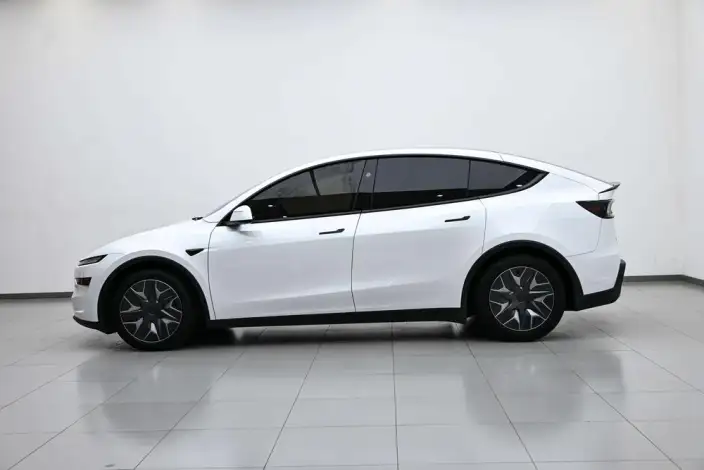 Model Y 2025 Model Long Battery Life Pro All-wheel drive version – фото 4