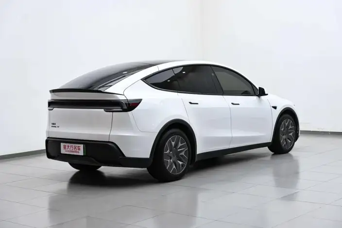 Model Y 2025 Model Long Battery Life Pro All-wheel drive version – фото 6