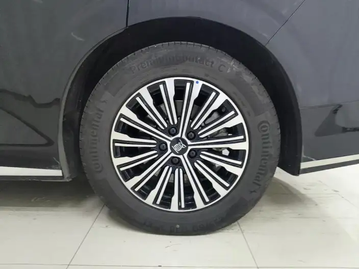 Xia 2026 Model DM-i 218KM Excellence Model – фото 9
