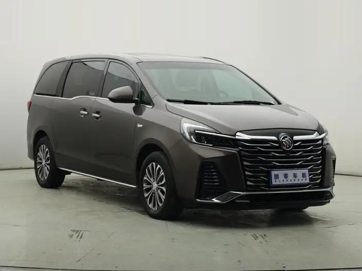 Buick GL8 2023 Model Business class 2.0T Luxury Model – фото 3