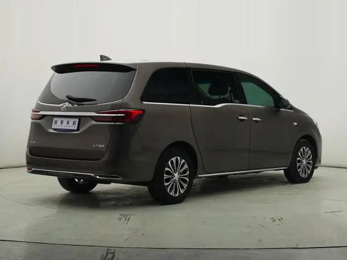 Buick GL8 2023 Model Business class 2.0T Luxury Model – фото 7