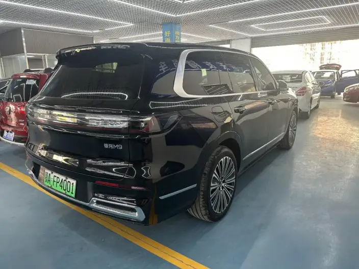 Geely M9 2025 Model 210km 4WD Pilot Edition – фото 5