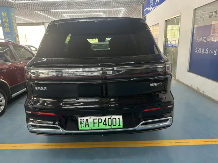 Geely M9 2025 Model 210km 4WD Pilot Edition – фото 6