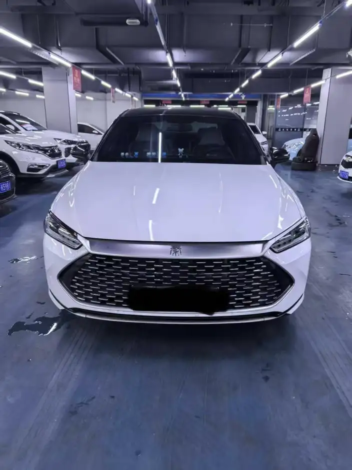 BYD Qin PLUS DM 2021 Model DM-i 120KM Noble Model – фото 2