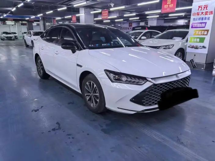 BYD Qin PLUS DM 2021 Model DM-i 120KM Noble Model – фото 3