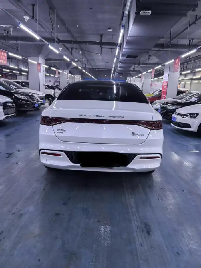 BYD Qin PLUS DM 2021 Model DM-i 120KM Noble Model – фото 5