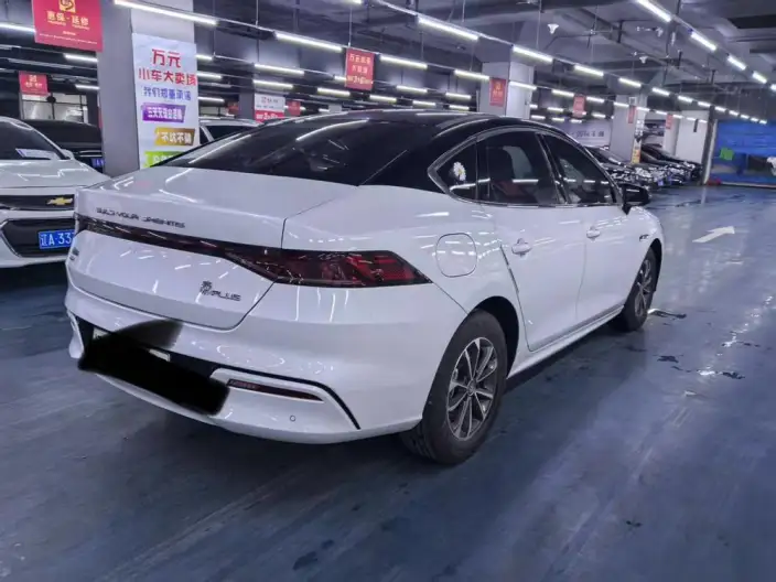 BYD Qin PLUS DM 2021 Model DM-i 120KM Noble Model – фото 6