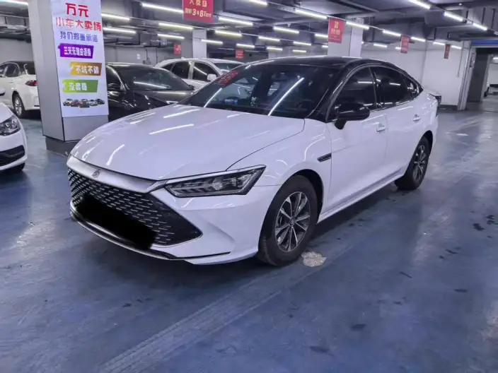 BYD Qin PLUS DM 2021 Model DM-i 120KM Noble Model – фото 7