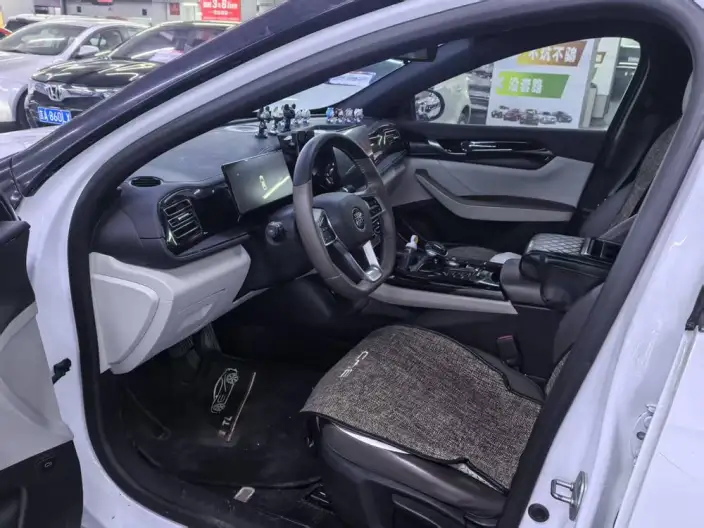 BYD Qin PLUS DM 2021 Model DM-i 120KM Noble Model – фото 10
