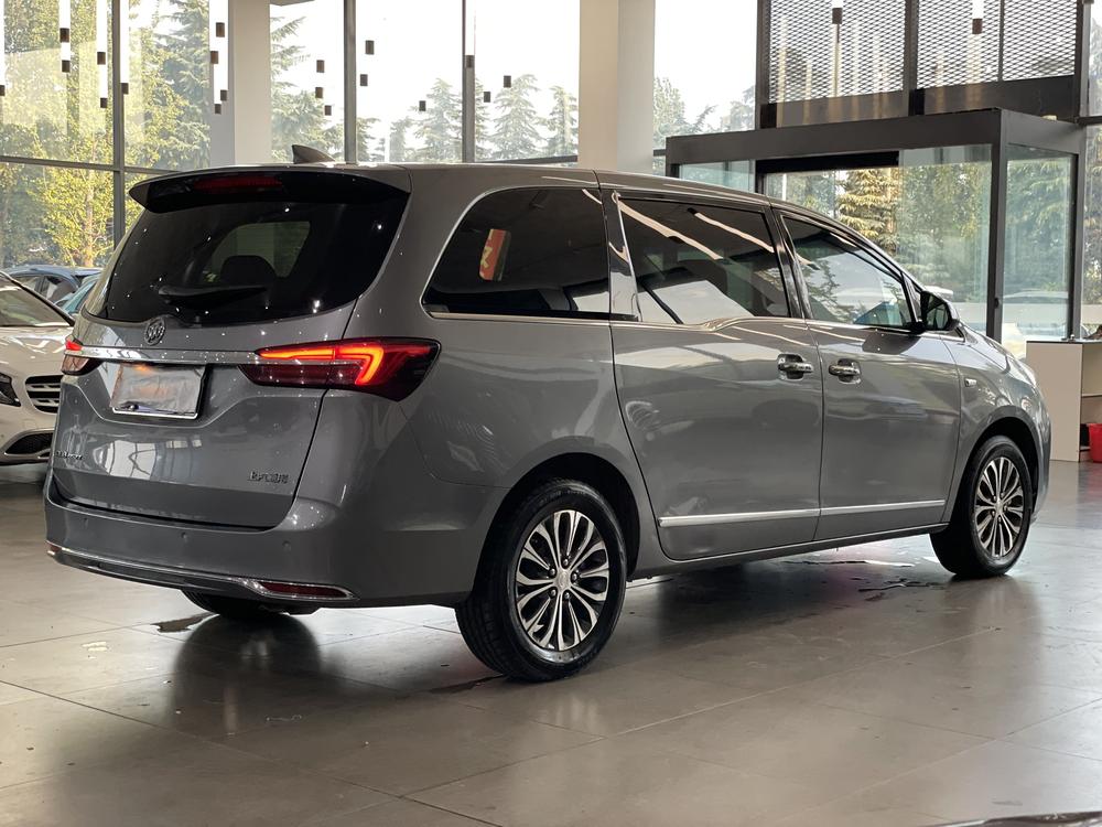 Buick GL8 Модель 2020 года Business class 652T Luxury – фото 6