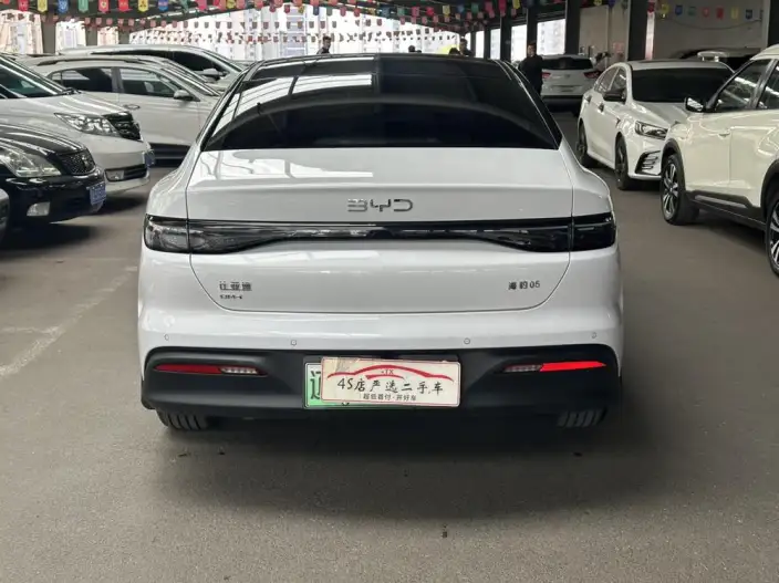 BYD Seal 05DM 2025 Model Smart Driving Edition DM-i 55KM Luxury Model – фото 5