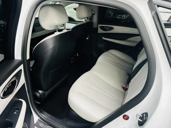 BYD Seal 05DM 2025 Model Smart Driving Edition DM-i 55KM Luxury Model – фото 9