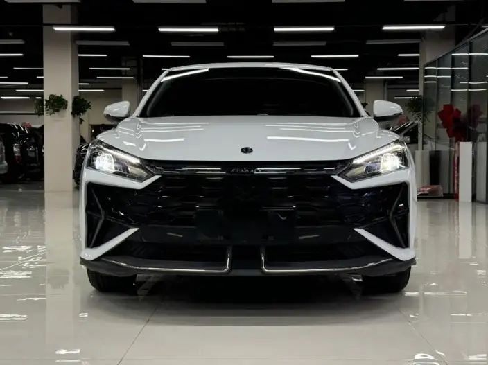Yixuan 2025 Model 1.5L Automatic Honor Edition – фото 2