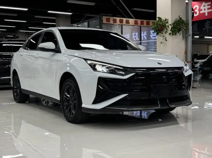 Yixuan 2025 Model 1.5L Automatic Honor Edition – фото 3