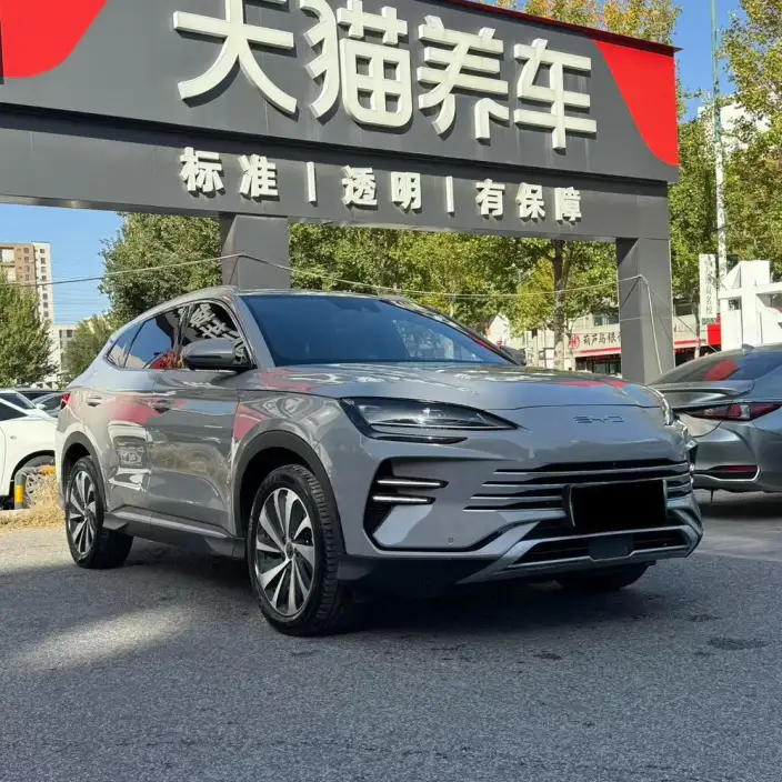 BYD Song PLUS DM 2023 Model DM-i Champion Edition 110KM Flagship Model – фото 3