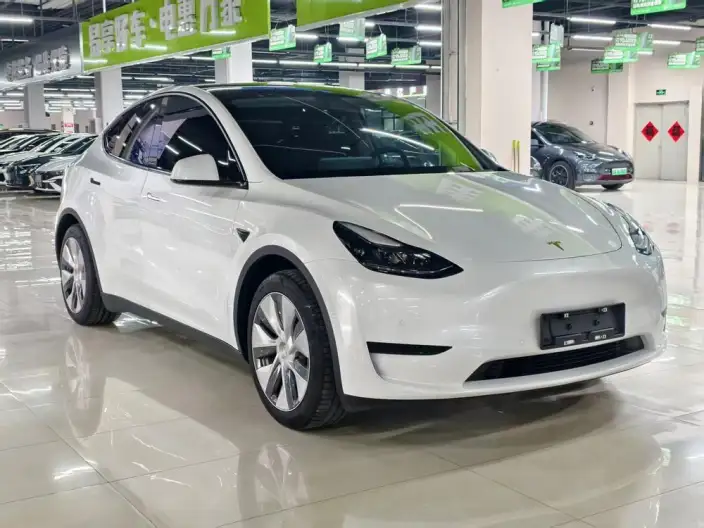 Model Y 2022 Model Facelift Rear-wheel drive version – фото 3