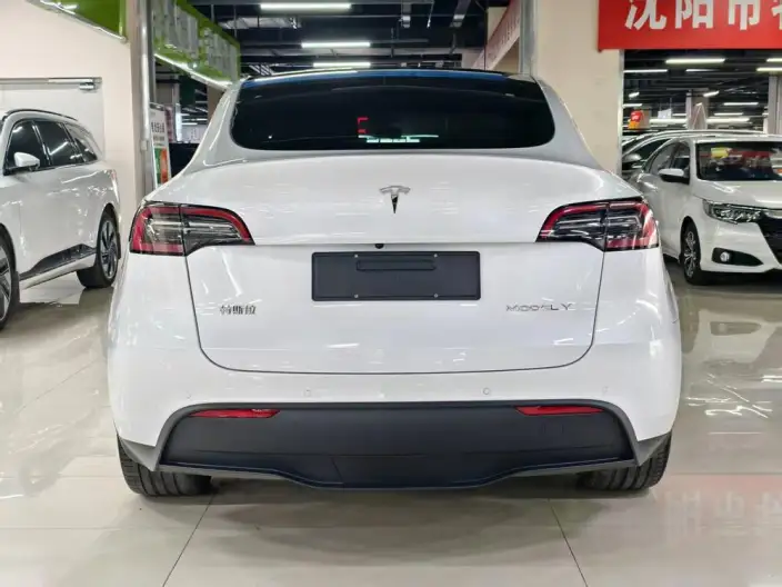 Model Y 2022 Model Facelift Rear-wheel drive version – фото 5