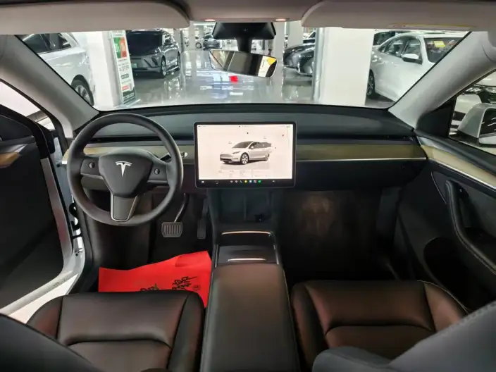 Model Y 2022 Model Facelift Rear-wheel drive version – фото 10