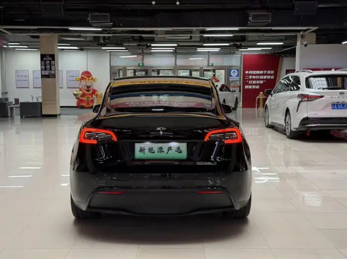 Model Y 2022 Model Performance High performance All-wheel drive version – фото 6