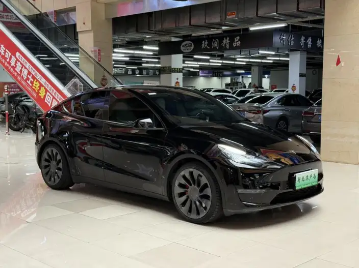 Model Y 2022 Model Performance High performance All-wheel drive version – фото 10