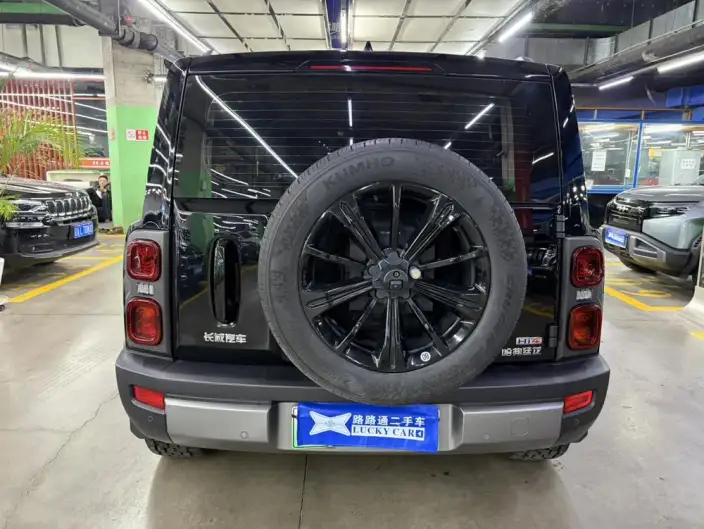 HAVAL Menglong PHEV 2024 Model 1.5T Hi4 145 Pro – фото 5