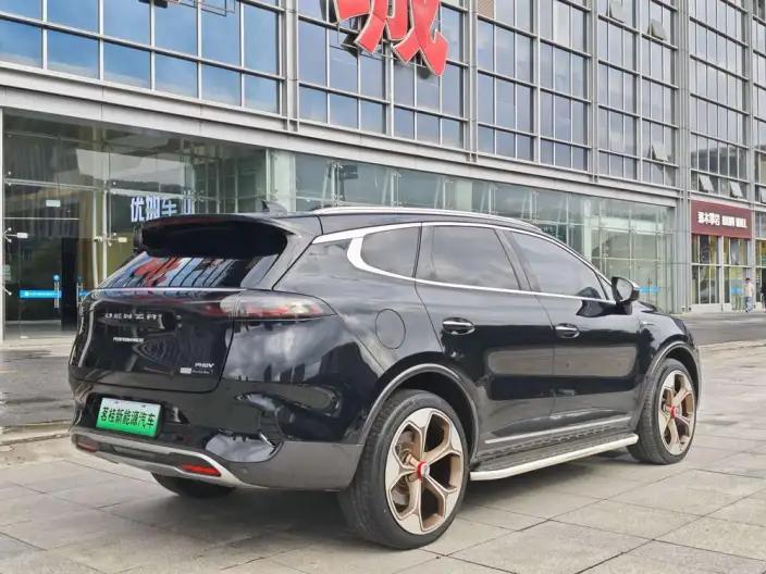 Denza X PHEV 2020 Model 2.0T Ultimate Edition – фото 6