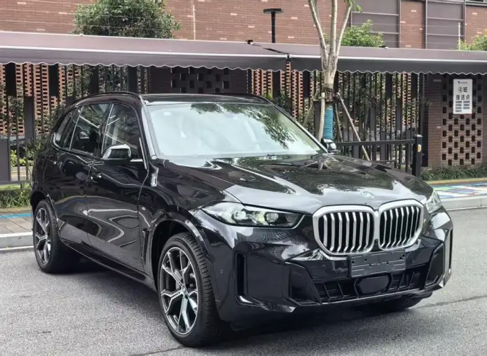 BMW X5 2025 Model xDrive30Li Exclusive Model M Sports Night Set – фото 3
