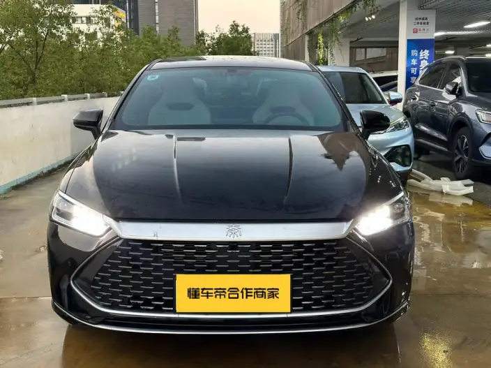 BYD Qin PLUS DM 2024 Model Honor Edition DM-i 55KM Leading Model – фото 2