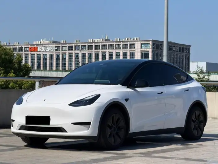 Model Y 2024 Model Rear-wheel drive version – фото 1