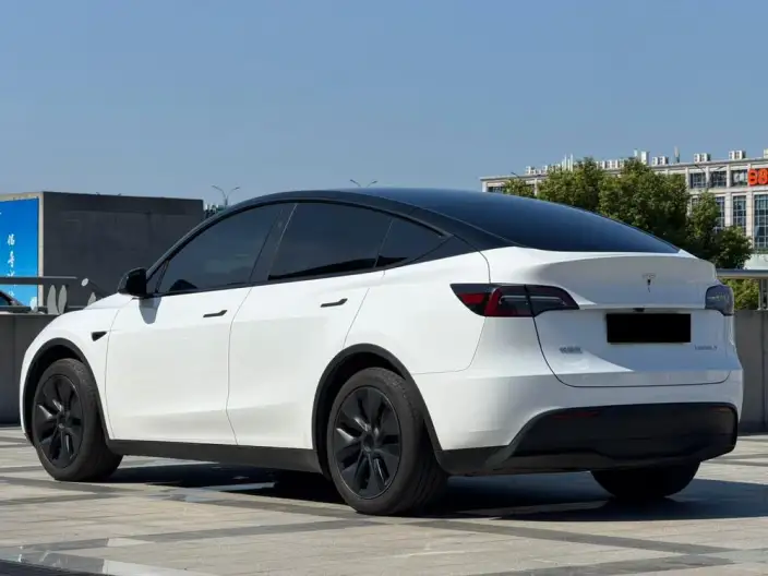 Model Y 2024 Model Rear-wheel drive version – фото 4